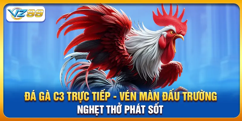 Đá Gà C3 Trực Tiếp - Vén Màn Đấu Trường Nghẹt Thở Phát Sốt