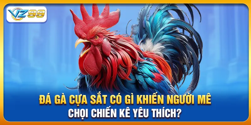 Đá Gà Cựa Sắt Có Gì Khiến Người Mê Chọi Chiến Kê Yêu Thích?