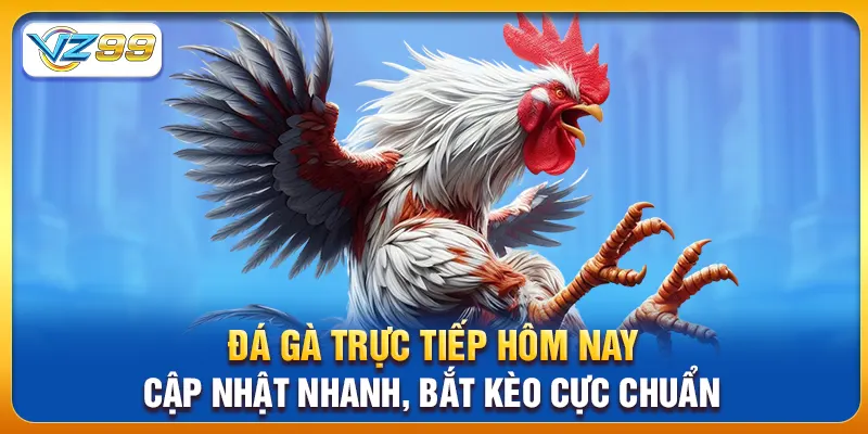 Đá Gà Trực Tiếp Hôm Nay - Cập Nhật Nhanh, Bắt Kèo Cực Chuẩn