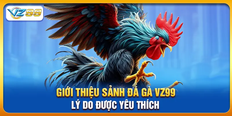 Giới thiệu sảnh đá gà vz99 & lý do được yêu thích