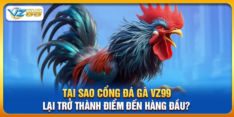 Tại sao cổng đá gà vz99 lại trở thành điểm đến hàng đầu?